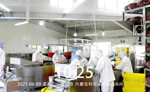 上下游协同破局 科尔沁牛业获千万预付款支持与数字化升级